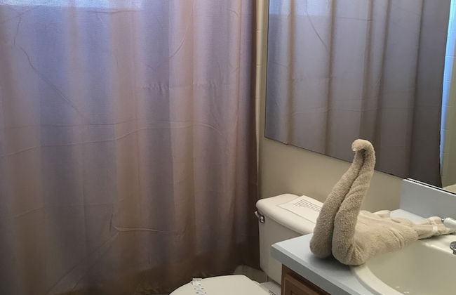 Kissimmee Vacation Homes by Shine FM - Foto 75