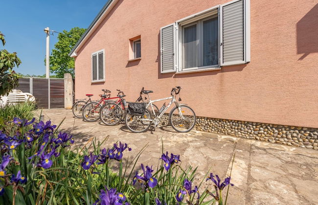 Villa Trkalj Zadarvillas - Photo 13