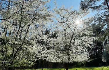 An den Sieben Seen - Foto 37