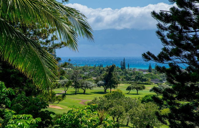 Kapalua Golf Villa 27v2 Gold Ocean View - Foto 25
