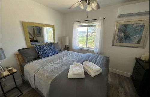 Spectacular vineyard views - Foto 10