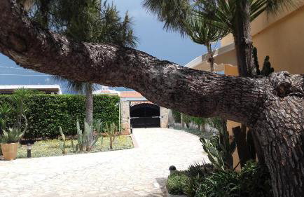 Villa Eleonora con piscina Fronte Mare - Foto 2