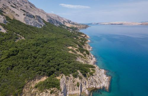 A White Cliffside Studio - Photo 21