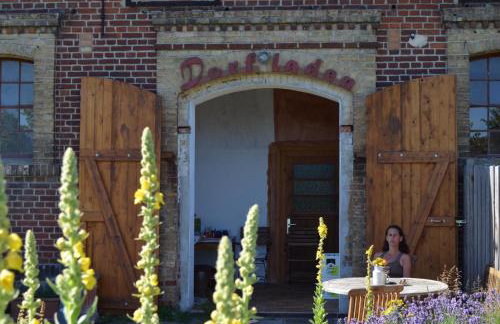 Ferienwohnung Sophienhof - Foto 25