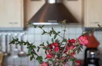 Aegean Panorama Apartments - Foto 29