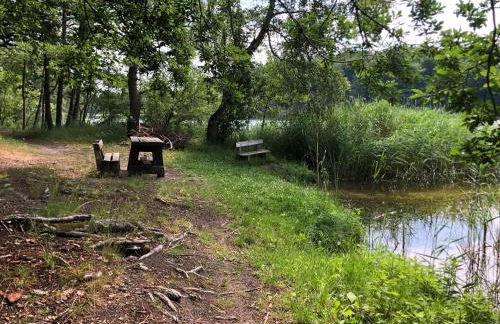 Ferienwohnung am Rathsburgsee - Foto 42