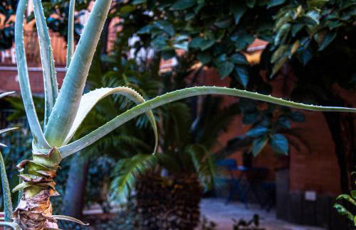 The House of Janus Luxury & Design Stay near Rome - Foto 78