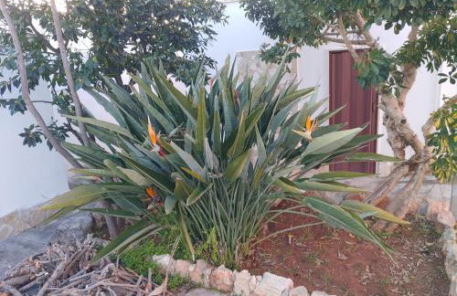 Villa Simonetta - Foto 38