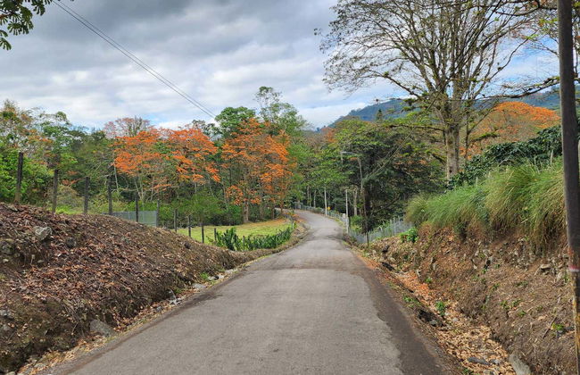 Excursão ao Vulcão Irazú, Valle de Orosi e Jardins Lankester - Foto 5