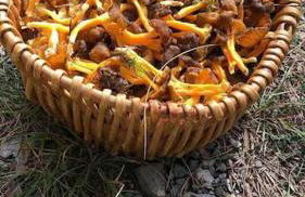 L'étoile des neiges Studio confort pour 4 personnes - Foto 9