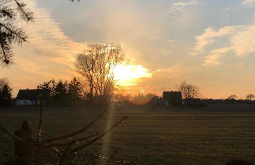 Peeneurlaub - Foto 58