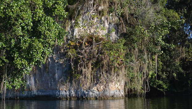 Metzabok Lagoon: Lacandona Jungle from Palenque - Foto 2