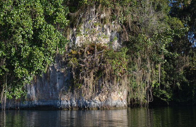 Metzabok Lagoon: Lacandona Jungle from Palenque - Foto 2