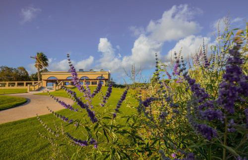 La Perla Di Barla Seafront - Foto 43