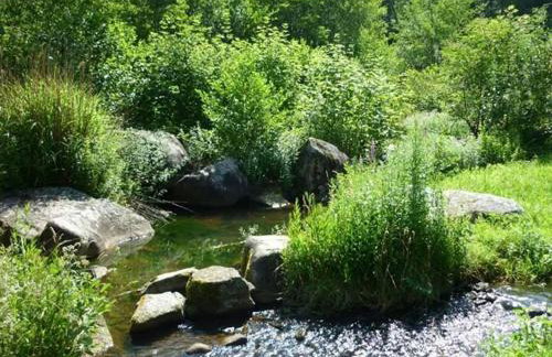 Moulin de Record - Foto 39