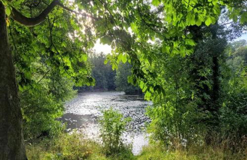 Nature Escape in Meisdorf - Foto 74