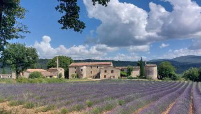 Le Cosy Luberon - Viens - Foto 1