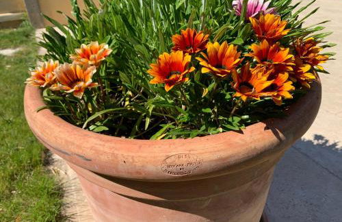 En Provence, Chez Stéphanie et Marcel - Foto 28