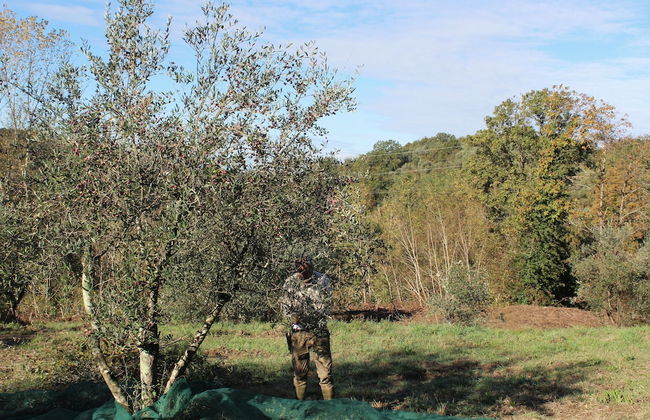 Agriturismo Due Comuni - Foto 57