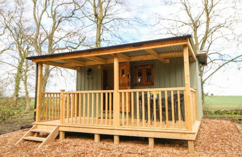 Bracken Fern - Photo 19