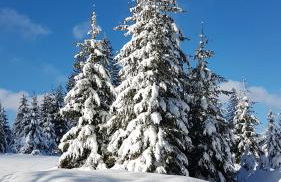 Manu's Ferienwohnung - Foto 29