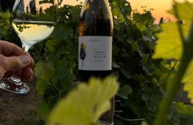 Les jardins du Canal - Foto 13