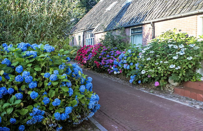 5 bedroom House in Diever with garden and terrace - Photo 1