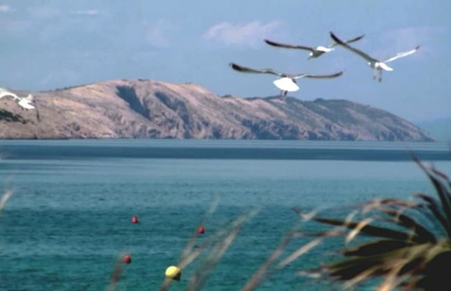 Apartments Vrtlici - Foto 80