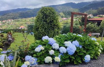 Recanto das Florenças - Casa 3 - Photo 9