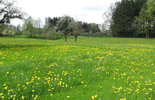 Claudis Ferienhäusle - Foto 24