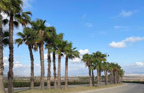 Casa Diana Golf - Foto 37