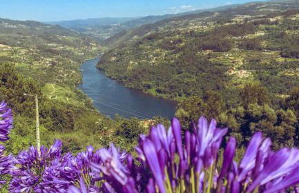 Mira Douro Valley Home - Foto 56