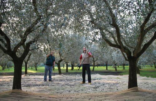 Agriturismo Terra E Sole - Foto 29