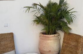 Casa Vó Briata - Foto 12