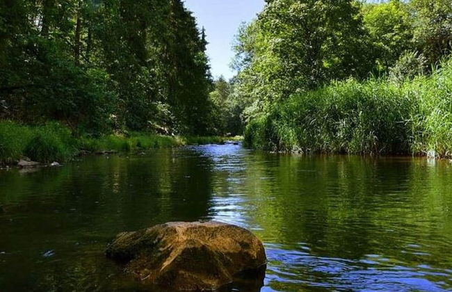 Exclusive Apartment in an art Nouveau Villa - Foto 32