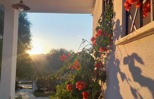 Agriturismo Palas De Serra Country Resort - Foto 16