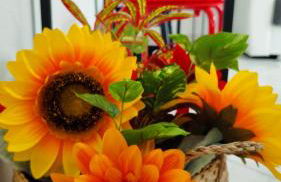 Petite Maison - Foto 28