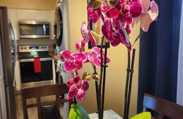 2-bed condo, cook-ready kitchen, and laundry, 5-8 minutes from University of Arizona and downtown Tucson - Foto 8