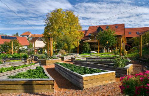 Lehmhof-Lindig - Foto 34