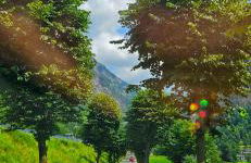 ALLA CASCATA in centro Branzi self check-in parcheggio gratuito coperto - Foto 11