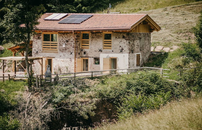 Maso nel bosco - Photo 41