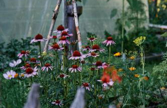 Blickinsfreie - Cabin - Foto 69