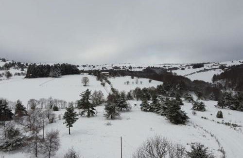 Le Chalet des Forêts Enchantées - Foto 40