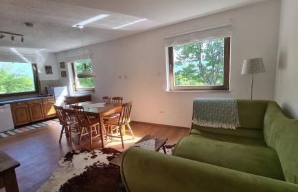 Forestside House Gacka with relax area - Foto 12