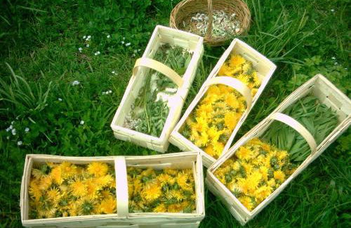 Seeleitenhof - Foto 40