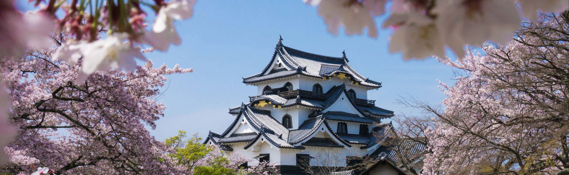 Excursión privada a Osaka