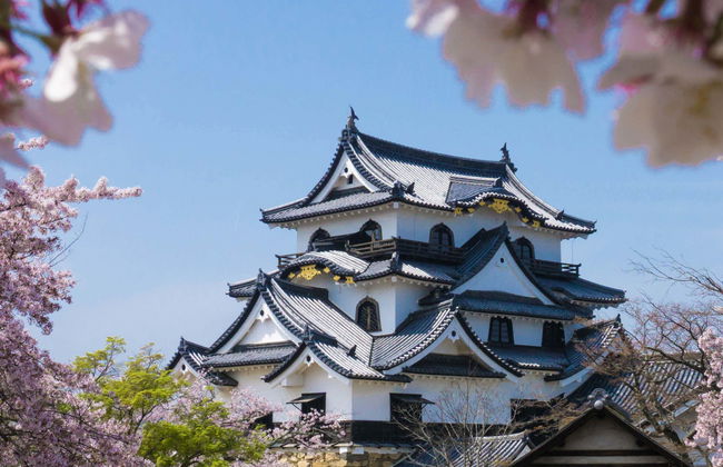 Excursión privada a Osaka - Foto 1