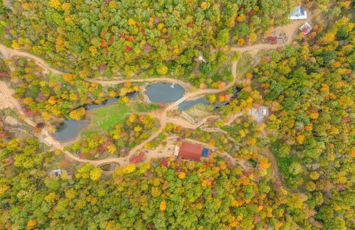 Karolina Rose- Luxury Cabin w/ Hot Tub + 1-UTV - Foto 19