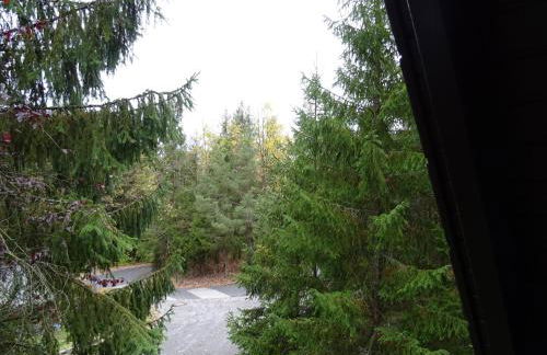 Ferienhaus Eugenie - Foto 13