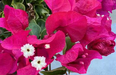 Luxurious villa at a unique spot - Foto 76